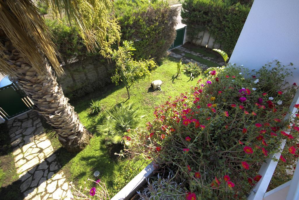 B&B Villa Genny A Pochi Passi Dal Mare Сан-Катальдо Номер фото