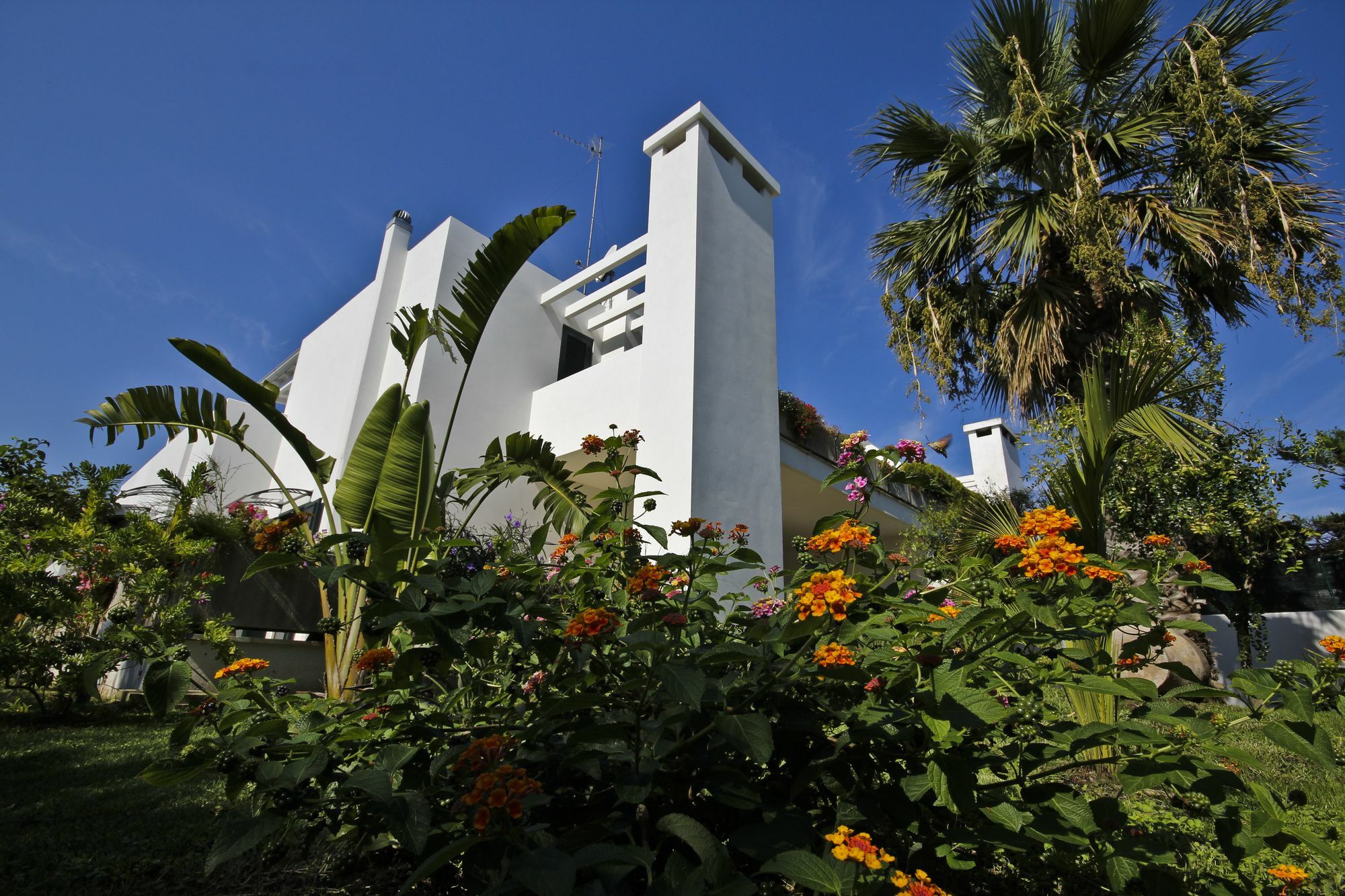 B&B Villa Genny A Pochi Passi Dal Mare Сан-Катальдо Экстерьер фото